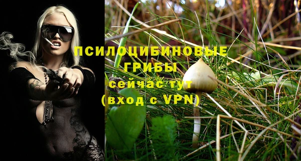 ешки Козловка