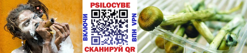 Купить  Пыталово  Псилоцибиновые грибы мицелий 
